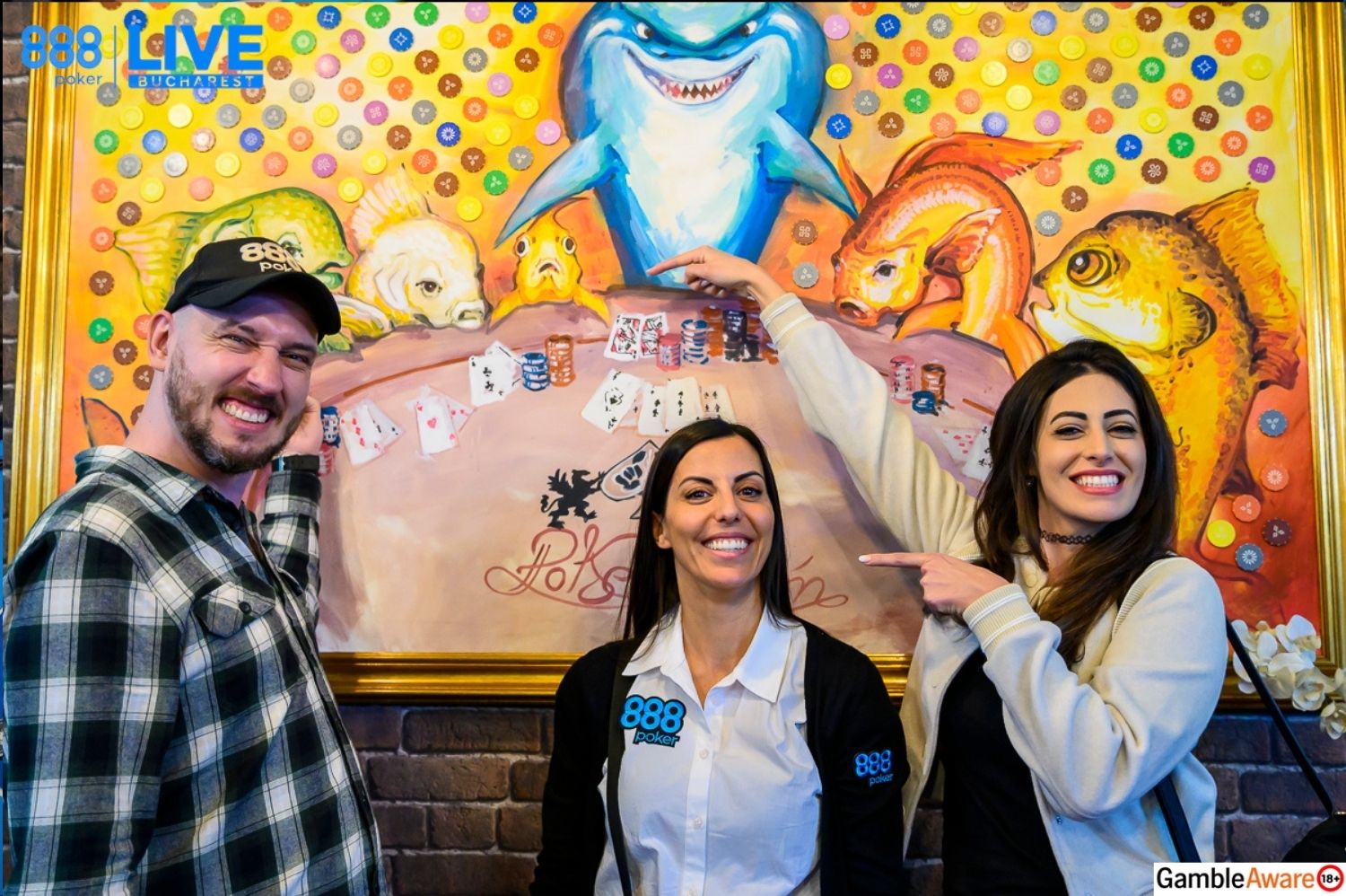 What Is a Brick and Mortar Cardroom?