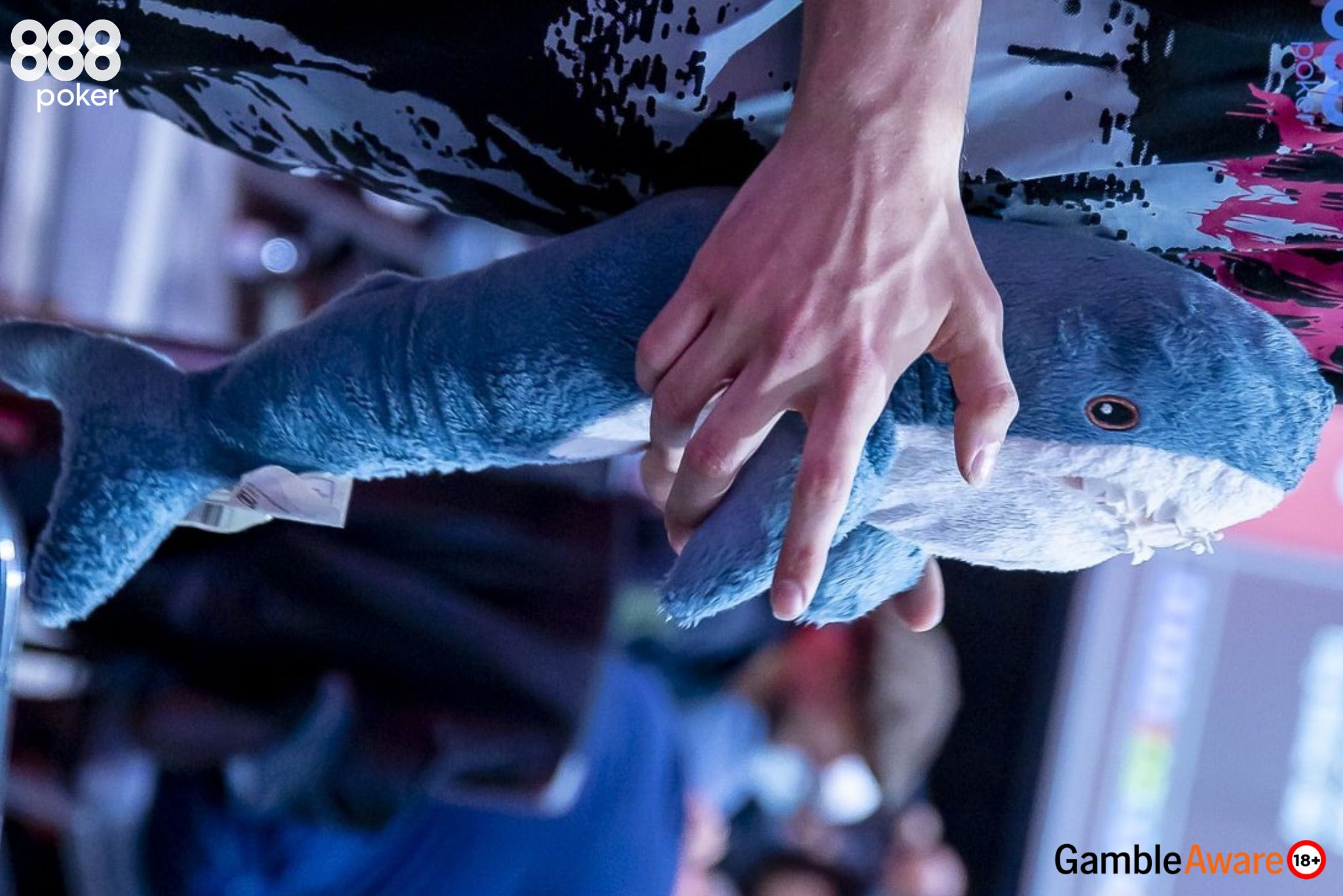 How to Beat Whale Poker Players