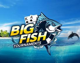 $100K GTD Daily Blow Fish Series