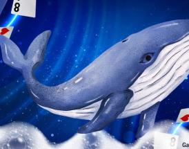 What is a Whale in Poker? Best Ways to Catch the Big Fish That Feed the Game!