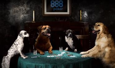 Dogs playing poker